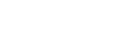 TECHBIRD.png